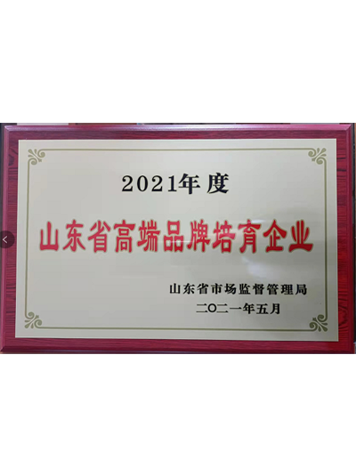 山东省高端品牌造就企业